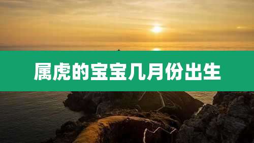 属虎的宝宝几月份出生