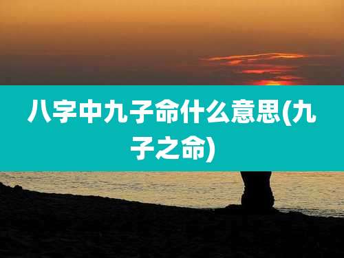 八字中九子命什么意思(九子之命)