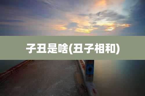 子丑是啥(丑子相和)