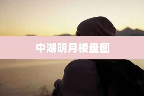 中湖明月楼盘图