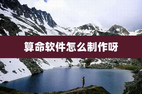 算命软件怎么制作呀