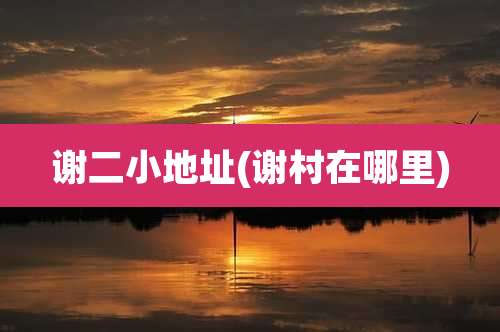 谢二小地址(谢村在哪里)