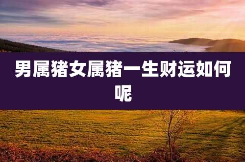 男属猪女属猪一生财运如何呢
