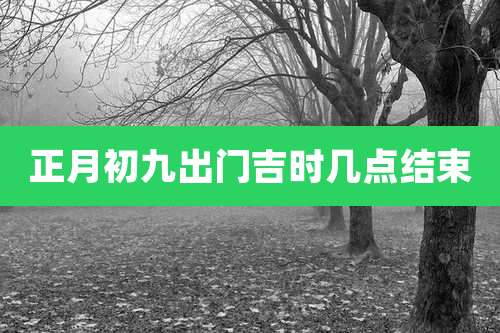 正月初九出门吉时几点结束