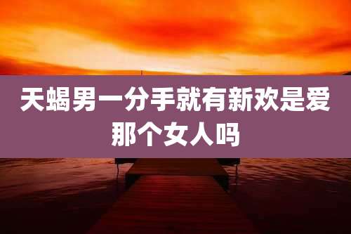 天蝎男一分手就有新欢是爱那个女人吗