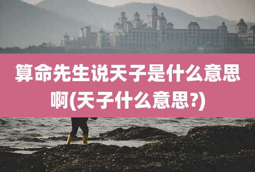 算命先生说天子是什么意思啊(天子什么意思?)