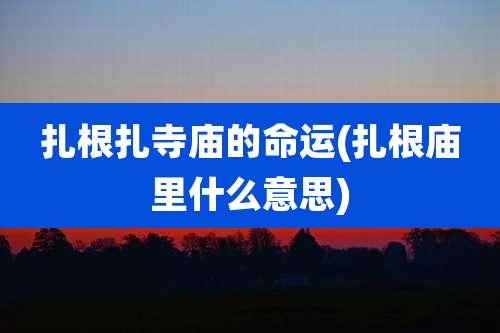 扎根扎寺庙的命运(扎根庙里什么意思)