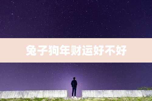 兔子狗年财运好不好