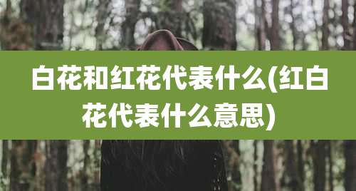 白花和红花代表什么(红白花代表什么意思)