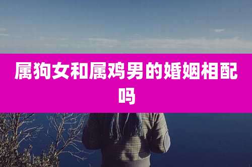 属狗女和属鸡男的婚姻相配吗
