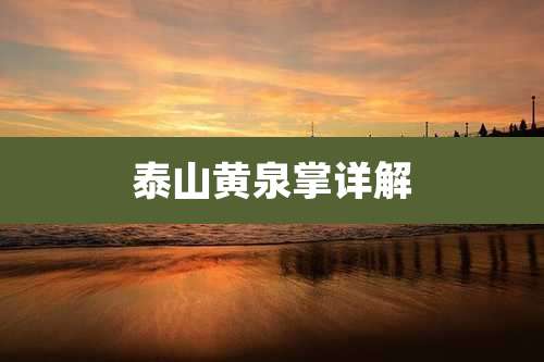 泰山黄泉掌详解