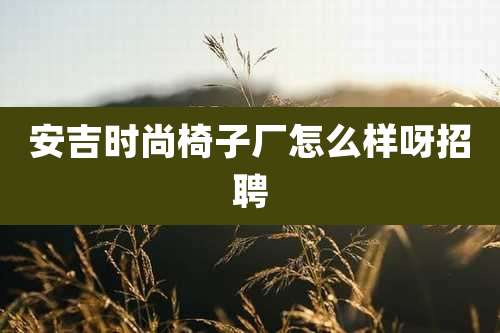 安吉时尚椅子厂怎么样呀招聘