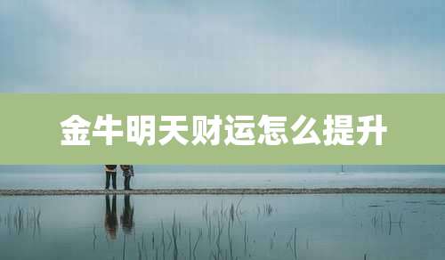 金牛明天财运怎么提升