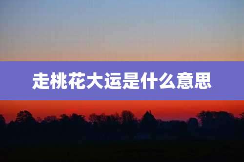 走桃花大运是什么意思