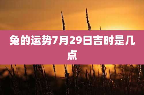 兔的运势7月29日吉时是几点