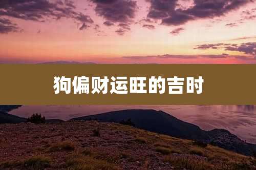 狗偏财运旺的吉时