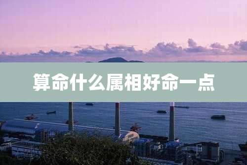 算命什么属相好命一点