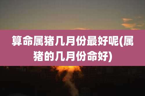 算命属猪几月份最好呢(属猪的几月份命好)