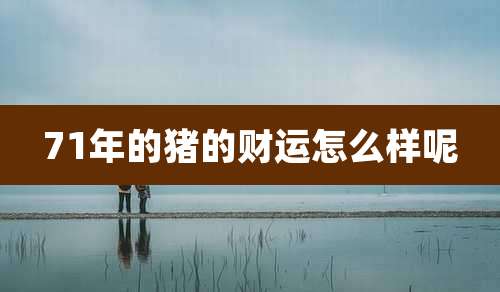 71年的猪的财运怎么样呢