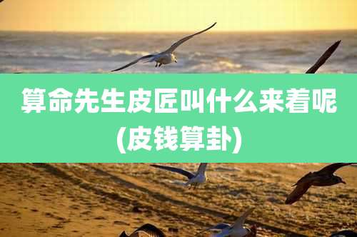 算命先生皮匠叫什么来着呢(皮钱算卦)