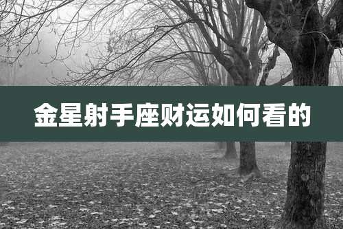 金星射手座财运如何看的