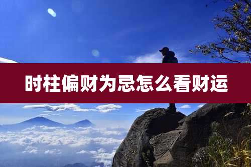 时柱偏财为忌怎么看财运