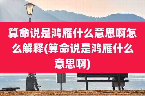 算命说是鸿雁什么意思啊怎么解释(算命说是鸿雁什么意思啊)