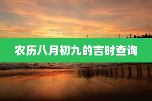 农历八月初九的吉时查询