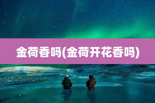 金荷香吗(金荷开花香吗)