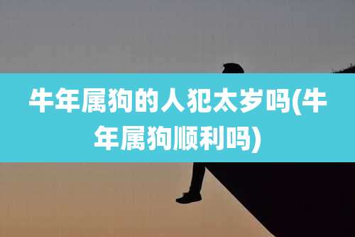 牛年属狗的人犯太岁吗(牛年属狗顺利吗)