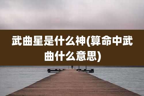 武曲星是什么神(算命中武曲什么意思)