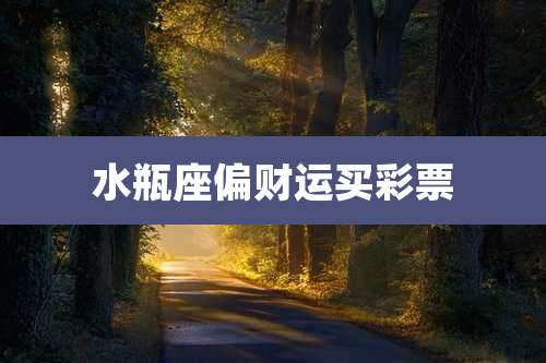 水瓶座偏财运买彩票