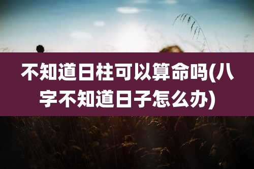 不知道日柱可以算命吗(八字不知道日子怎么办)