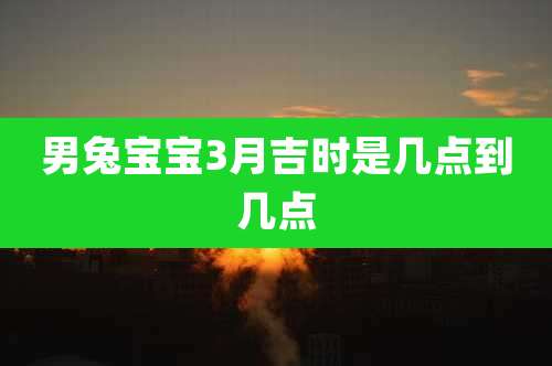 男兔宝宝3月吉时是几点到几点