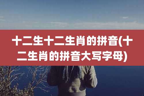 十二生十二生肖的拼音(十二生肖的拼音大写字母)