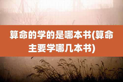 算命的学的是哪本书(算命主要学哪几本书)