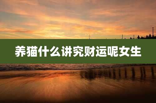 养猫什么讲究财运呢女生