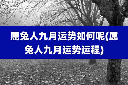 属兔人九月运势如何呢(属兔人九月运势运程)