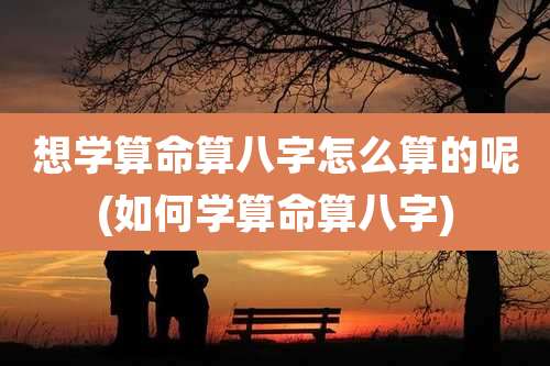 想学算命算八字怎么算的呢(如何学算命算八字)