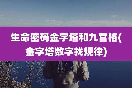 生命密码金字塔和九宫格(金字塔数字找规律)