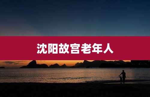 沈阳故宫老年人