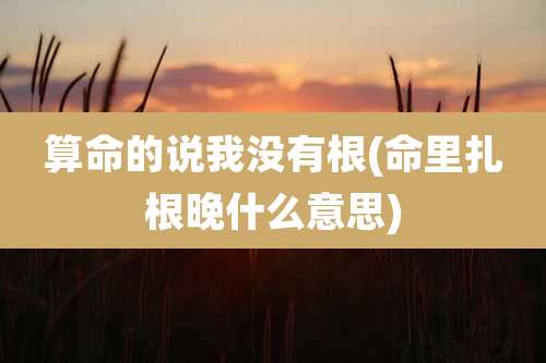算命的说我没有根(命里扎根晚什么意思)