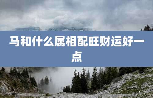 马和什么属相配旺财运好一点