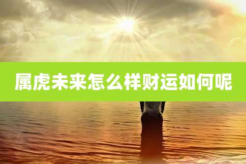 属虎未来怎么样财运如何呢