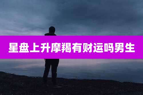 星盘上升摩羯有财运吗男生