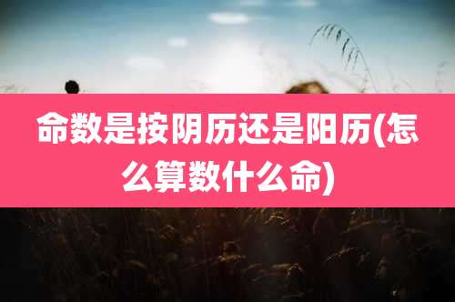 命数是按阴历还是阳历(怎么算数什么命)