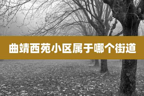 曲靖西苑小区属于哪个街道