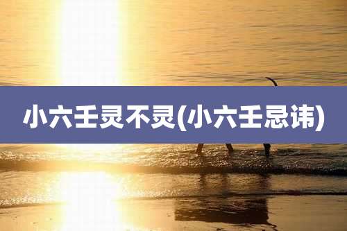 小六壬灵不灵(小六壬忌讳)