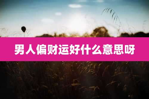 男人偏财运好什么意思呀