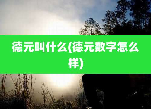 德元叫什么(德元数字怎么样)